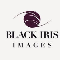 Black Iris Images 1077503 Image 4